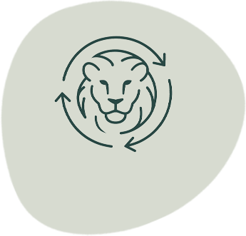 Button Base
